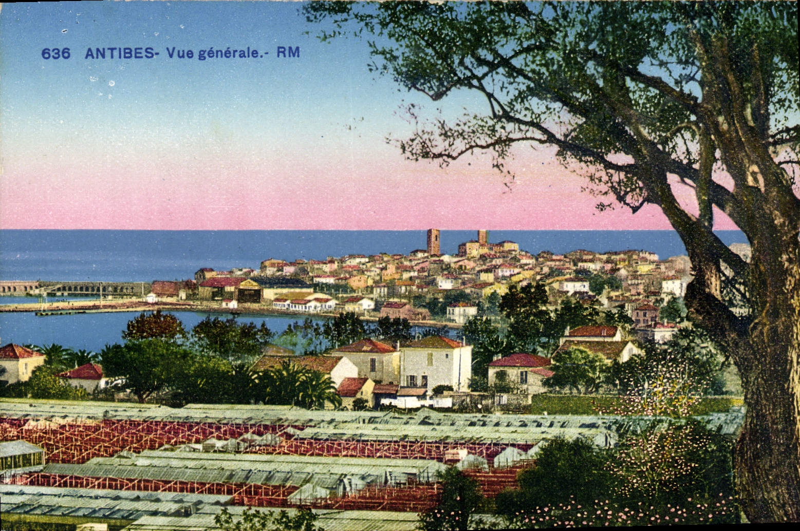 CPA Antibes Vue Generale