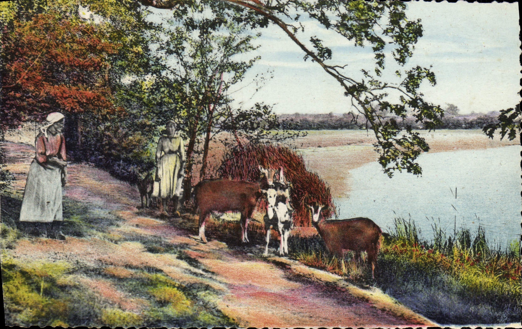CPM Fantaisie Femme Chevre Normandie