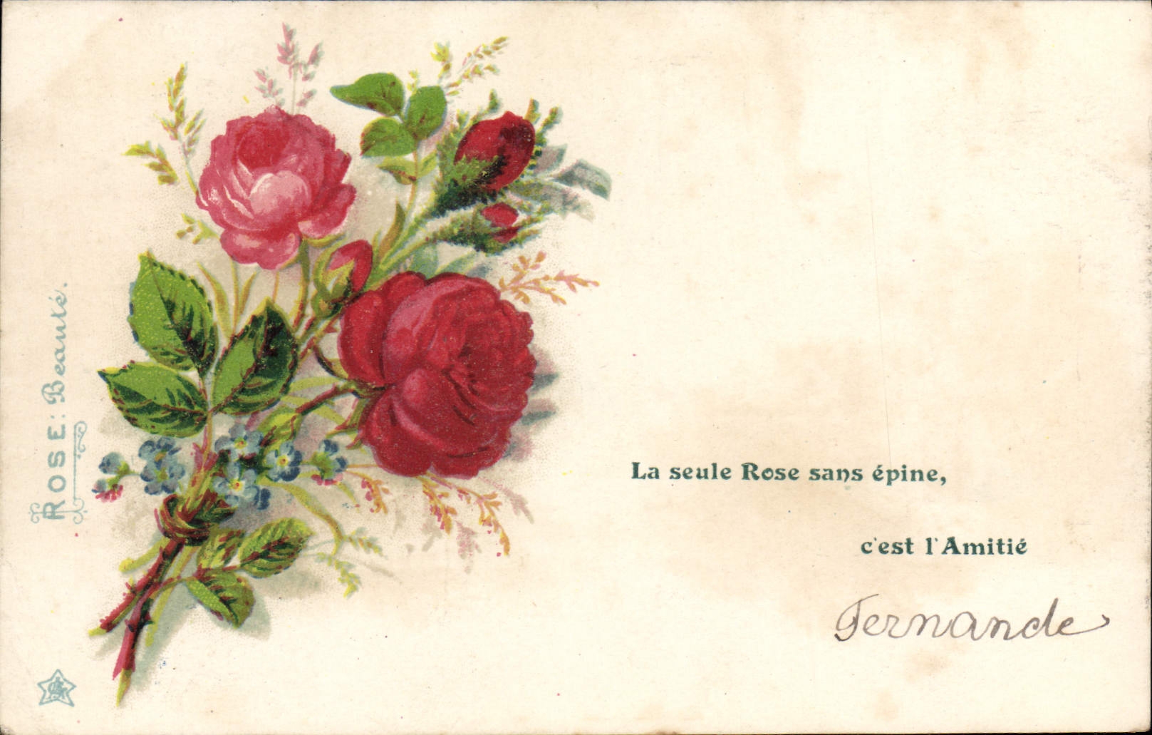 CPA Fantaisie Fleurs Rose