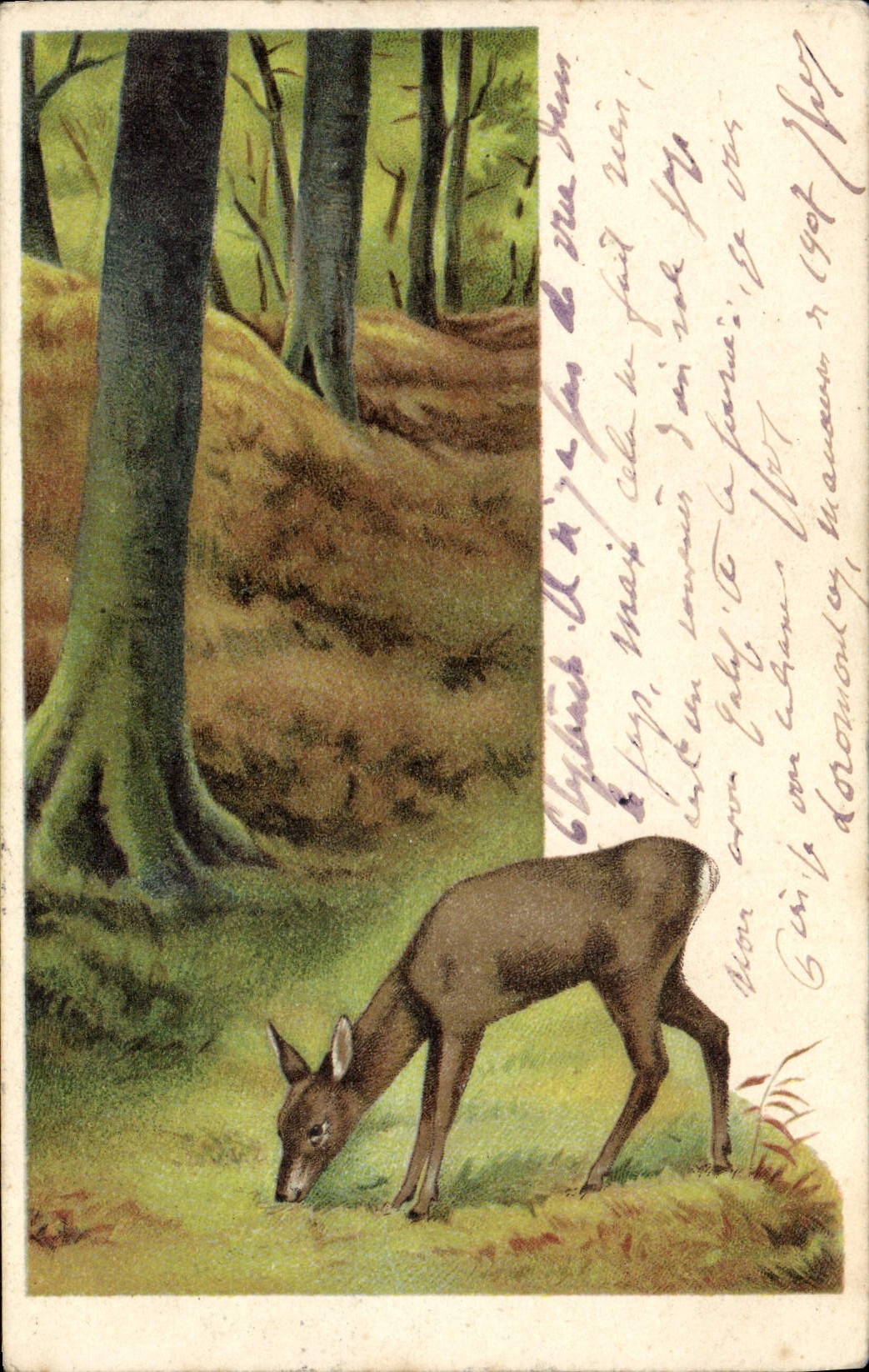 VINTAGE POSTCARD Fantasy Hind