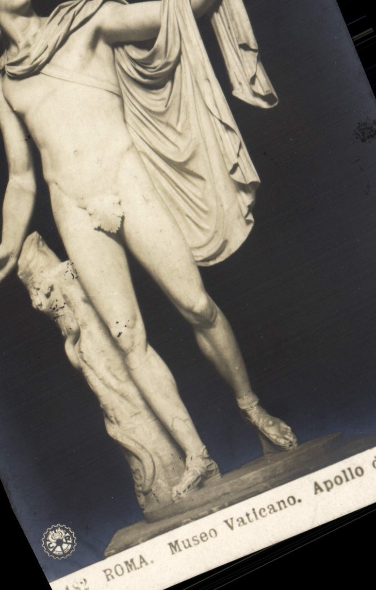 VINTAGE POSTCARD Roma Museo Vaticano Apollo di Belvedere