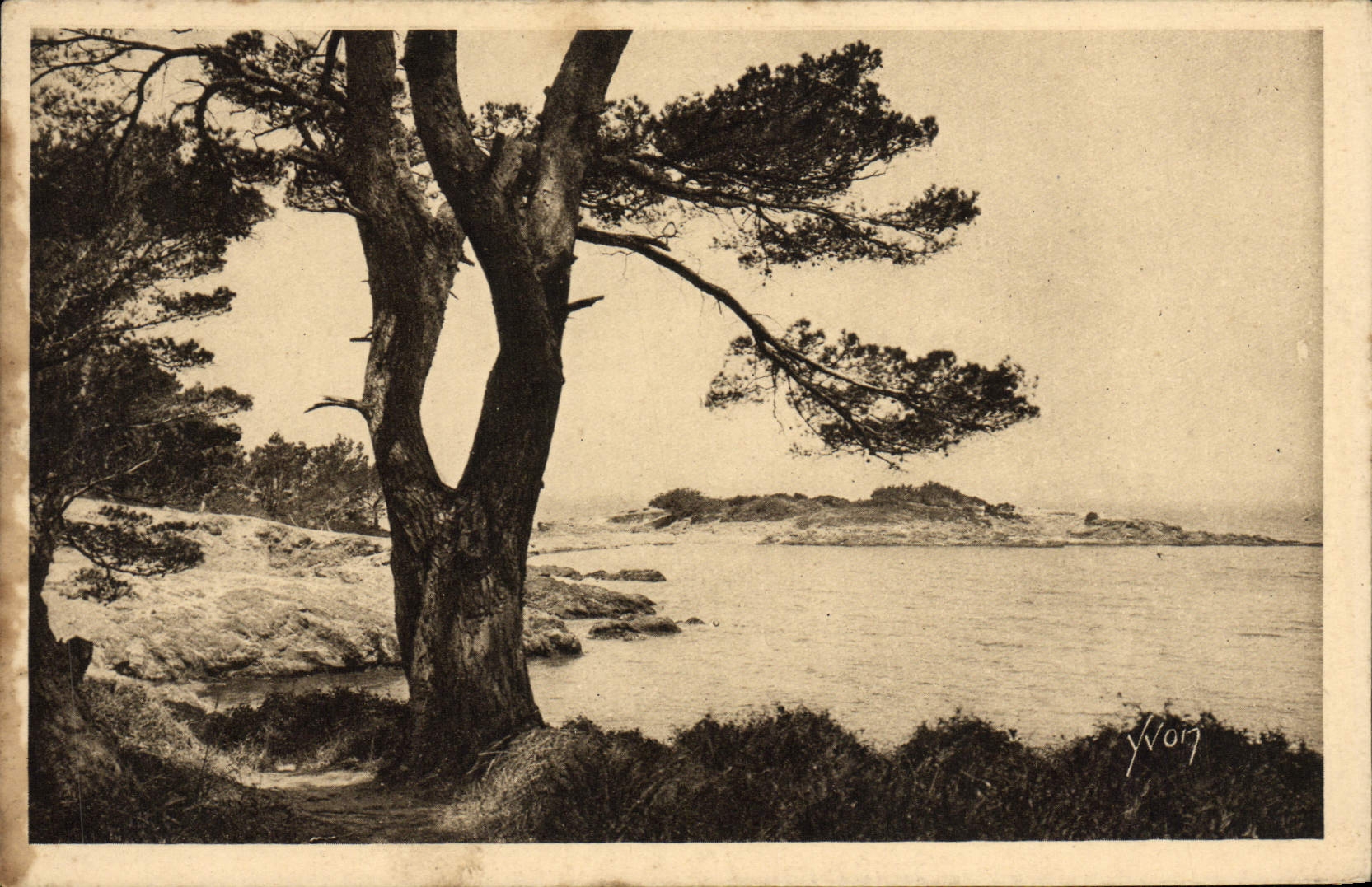 VINTAGE POSTCARD islands of Hyeres Porquerolles Seaside