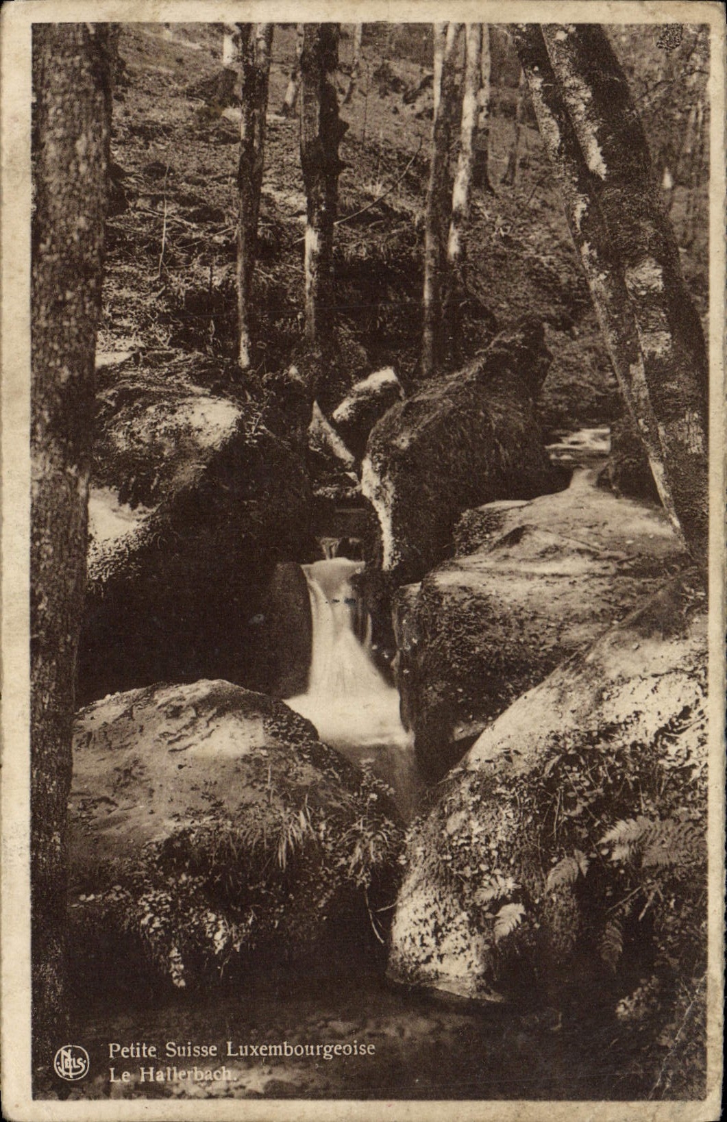 VINTAGE POSTCARD Small Luxembourg Switzerland Hallerbach