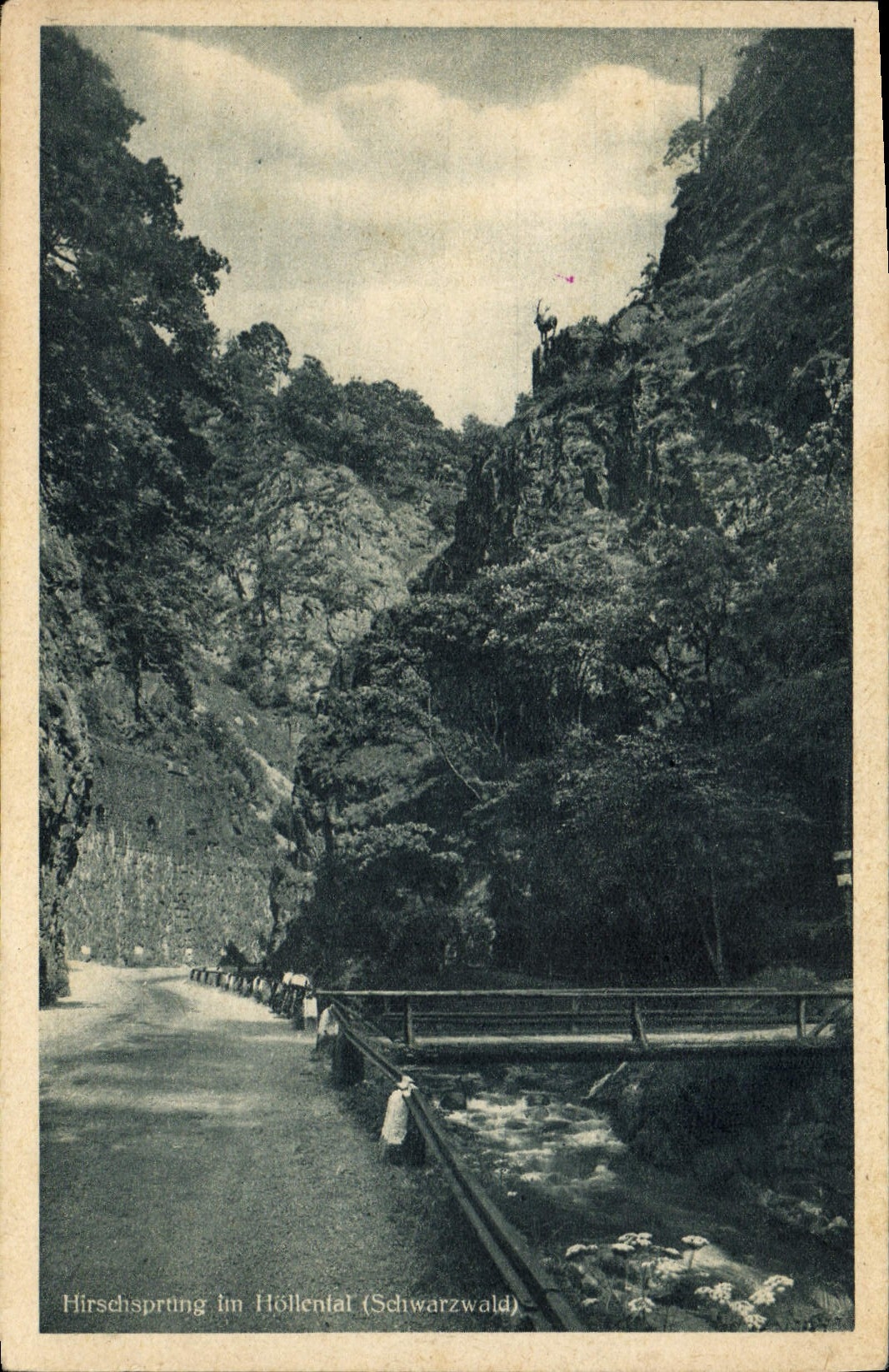 VINTAGE POSTCARD Hirschsprting im Hollental