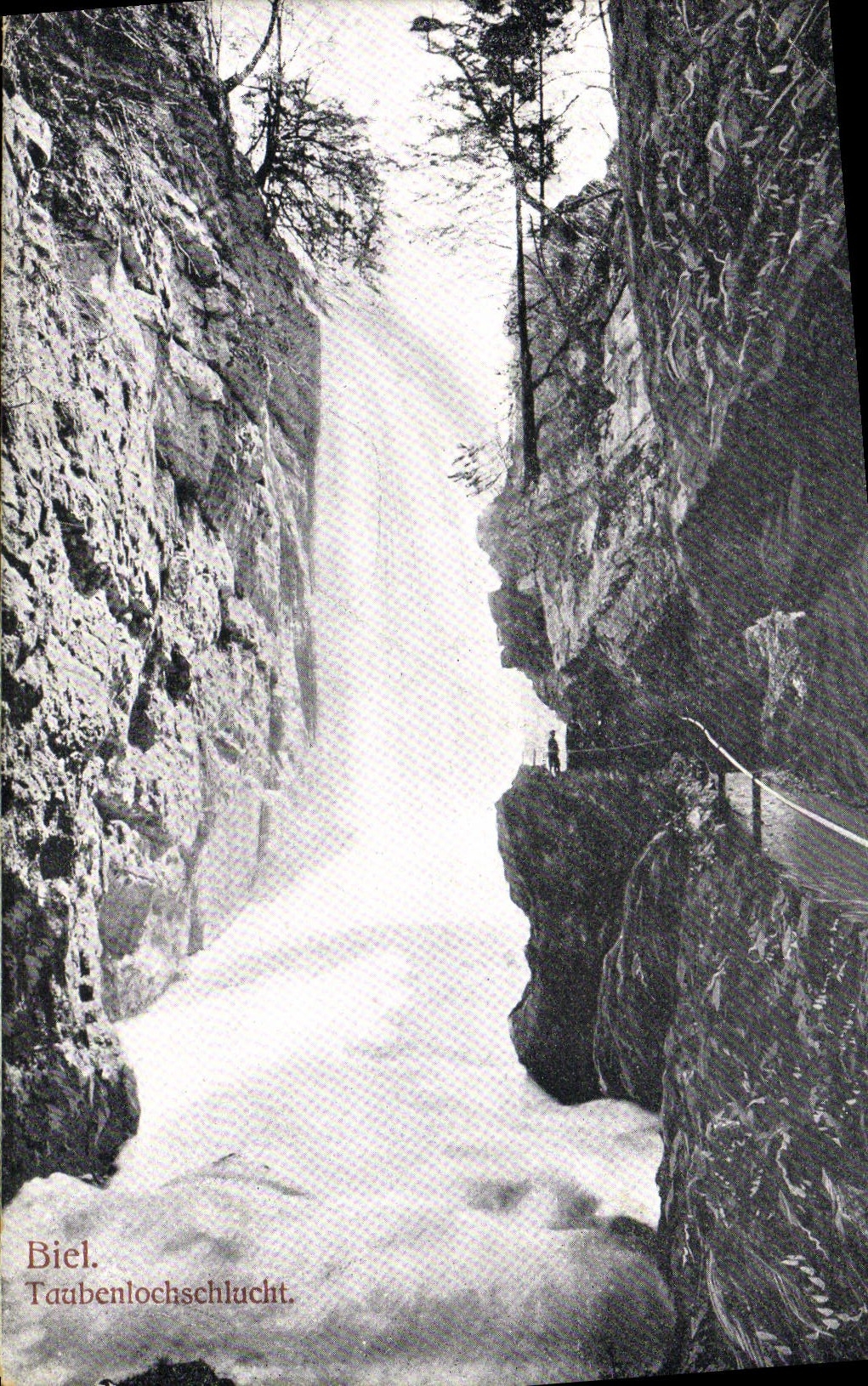 VINTAGE POSTCARD Biel Taubenlochschlucht