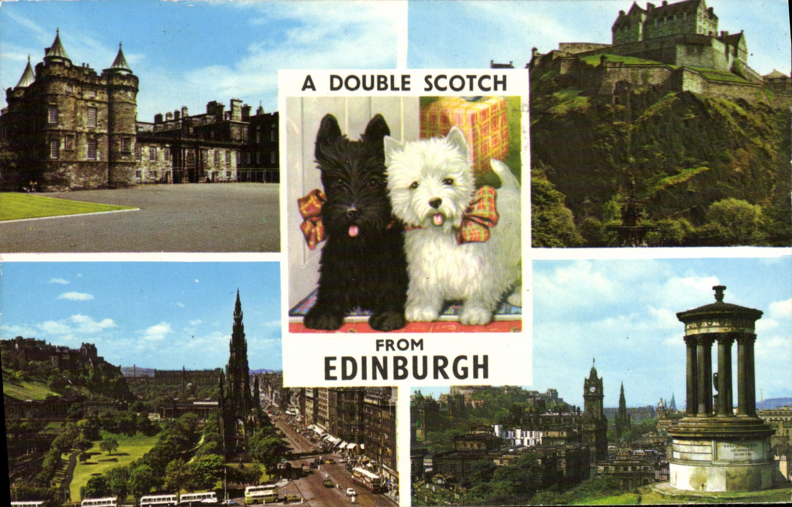 MODERN CARD Double Scotch tape From Edinburgh Chiens has