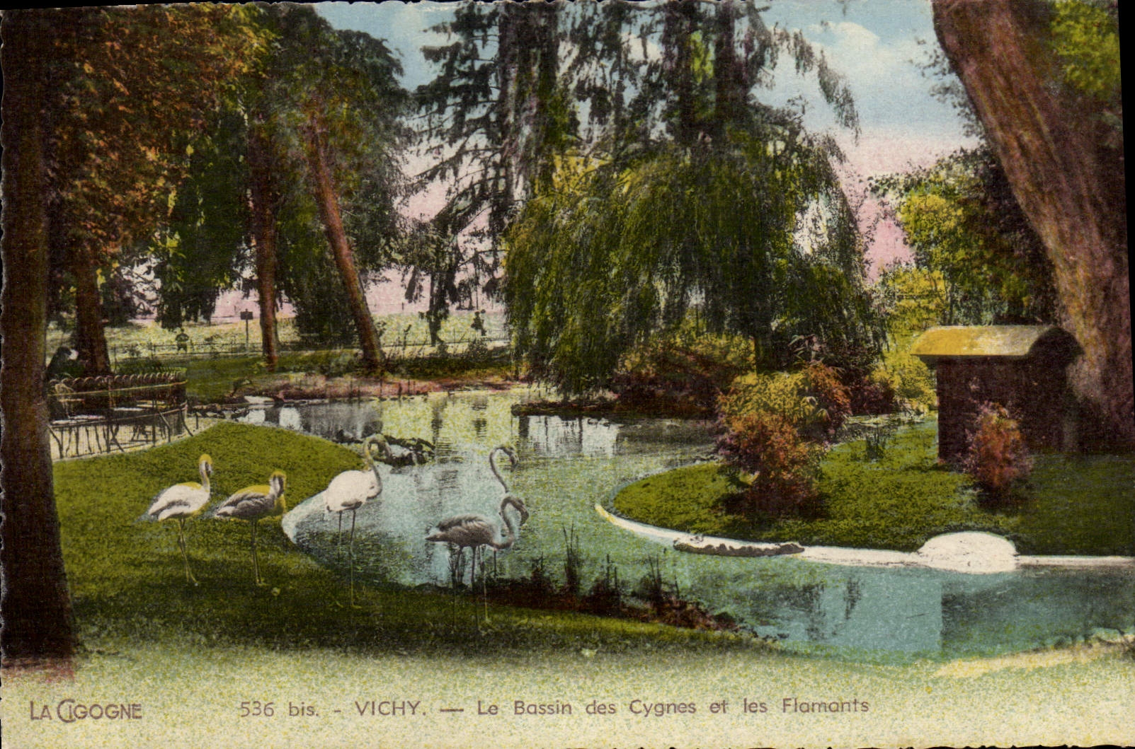 CPA Vichy Le Bassin des Cygnes et les Flamants