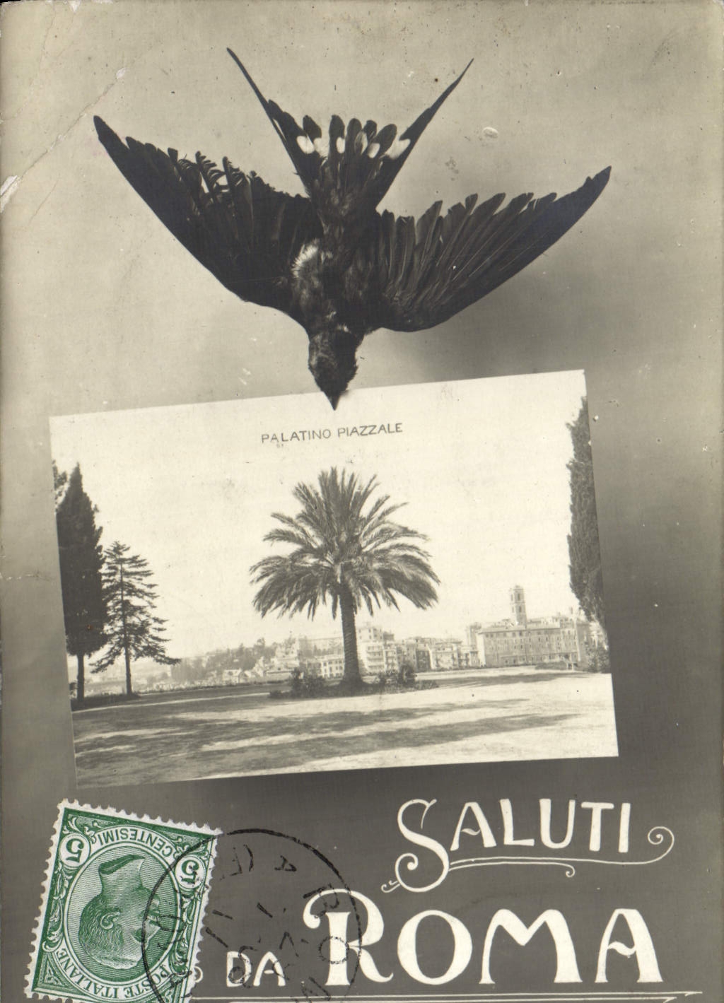 Pájaro de Saluti Roma Palatino Piazzale de la POSTAL de la VENDIMIA
