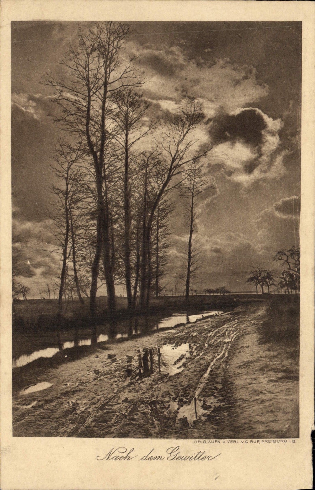 VINTAGE POSTCARD Nach dem Gewitter