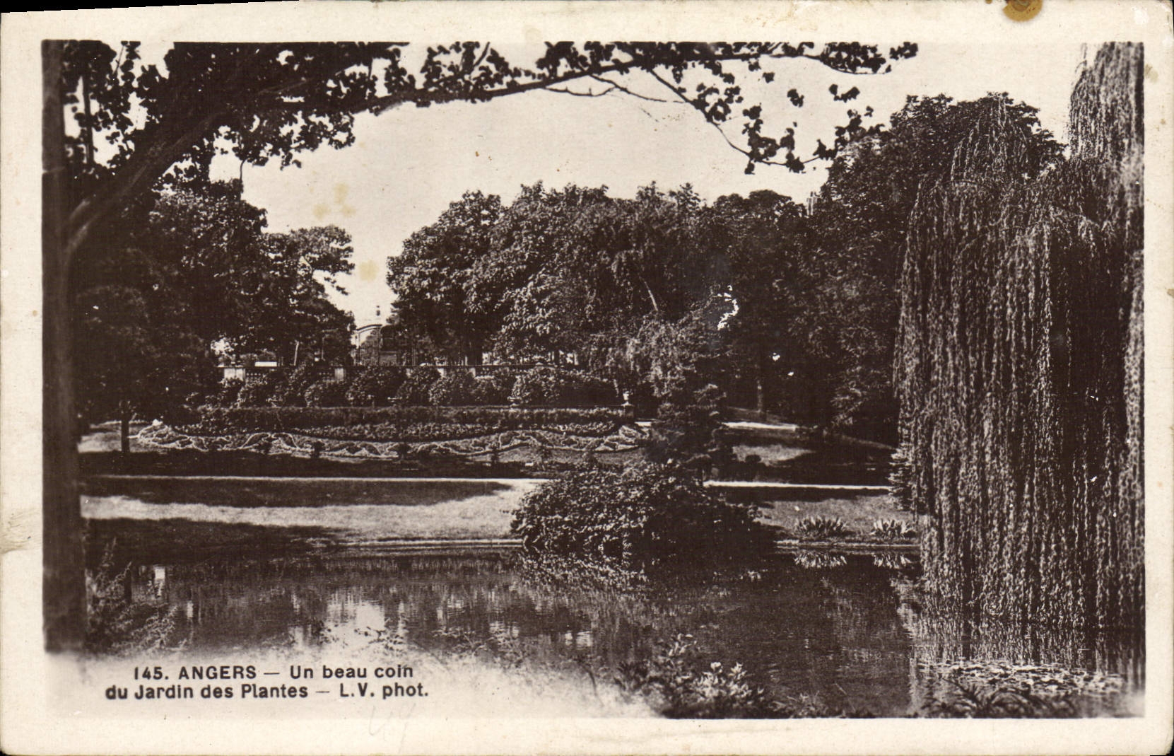 CPA Angers Un Beau Coin Du Jardin des Plantes