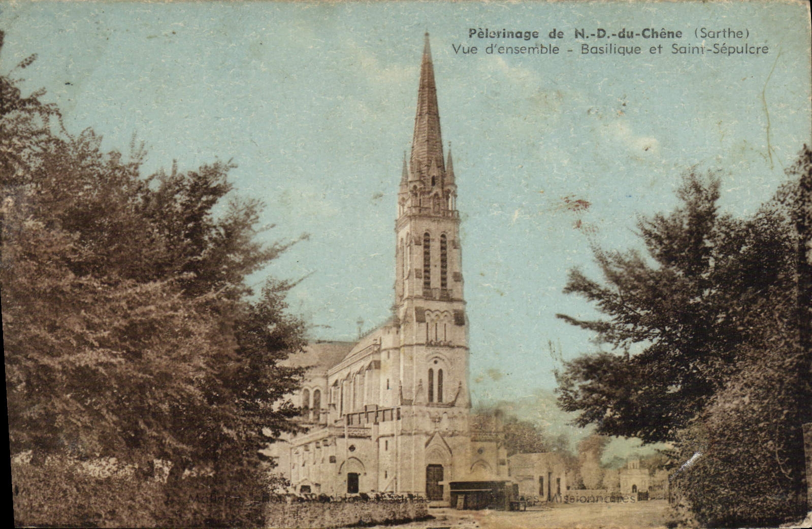 VINTAGE POSTCARD Basilica of Notre Dame Oak Overall picture Basilica and Holy Sepulchre