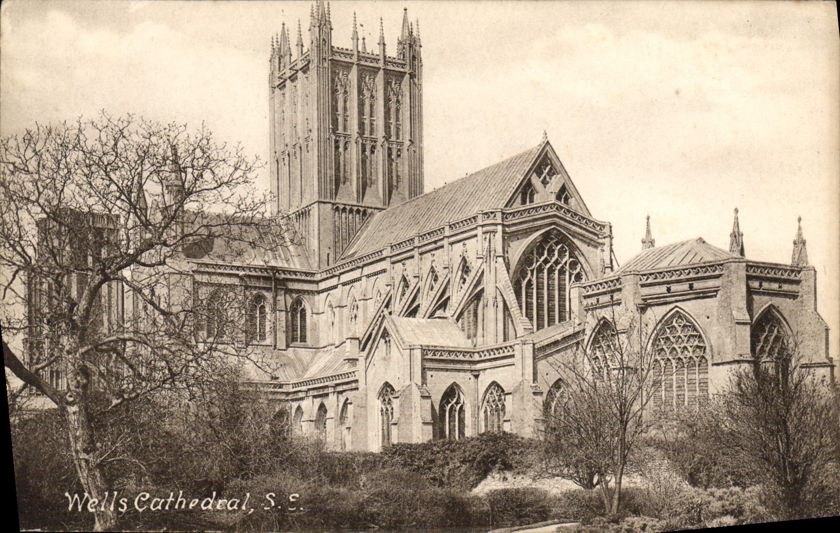 VINTAGE POSTCARD Wells Cathedrals