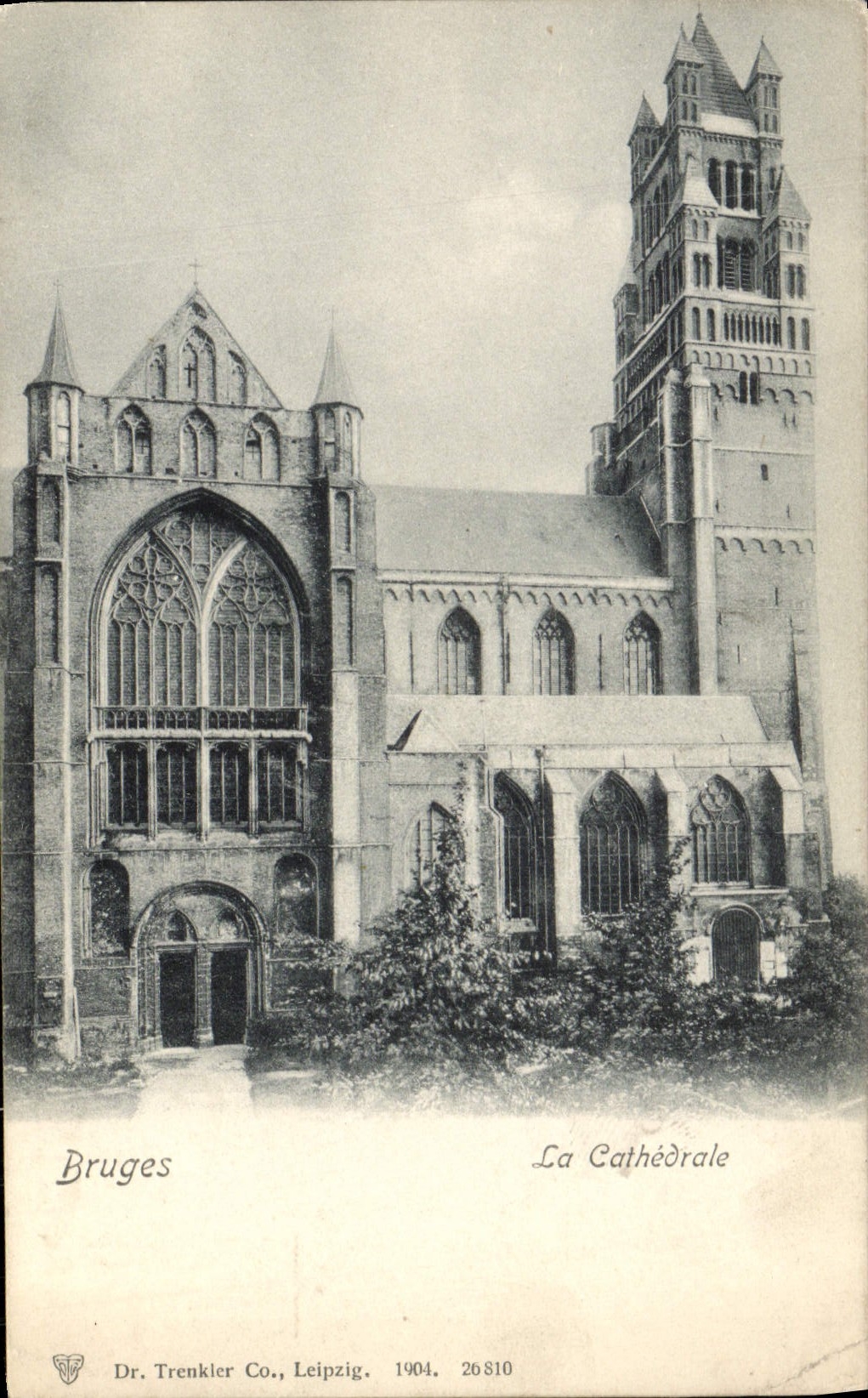 CPA Bruges La Cathedrale