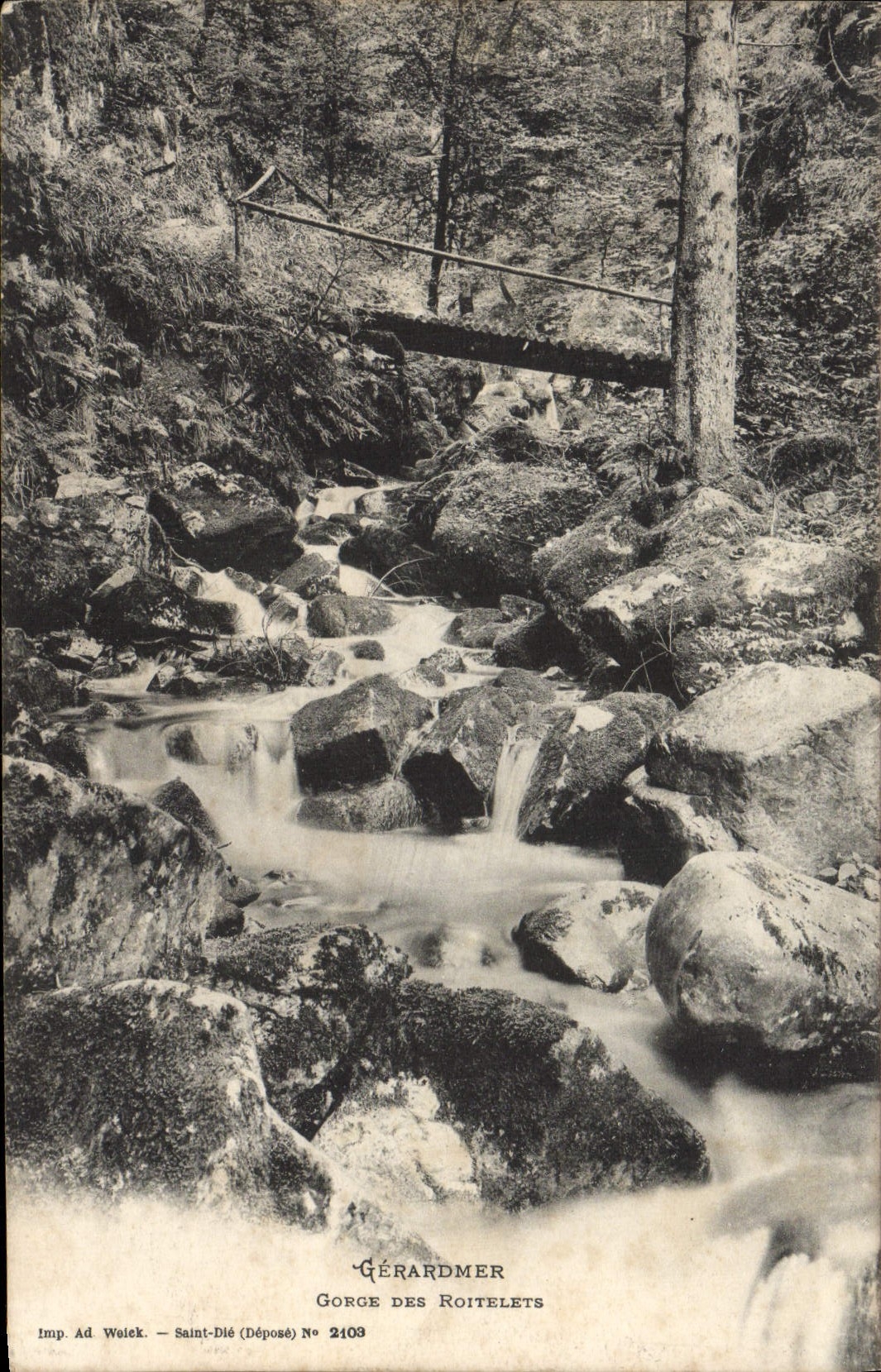 VINTAGE POSTCARD Gerardmer Gorges With the Kinglets