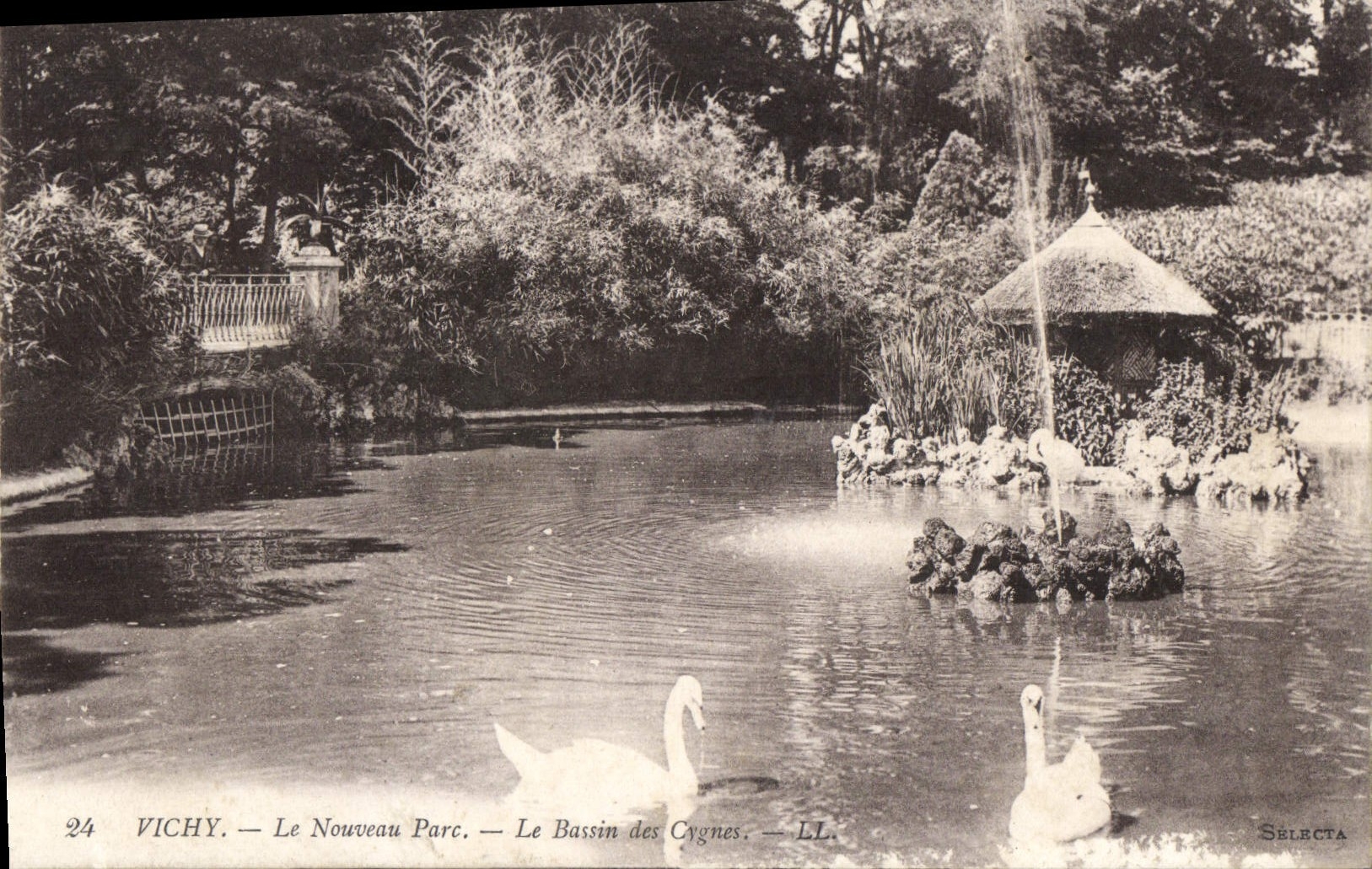 CPA Vichy Le Nouveau Parc Le Bassin Des Cygnes