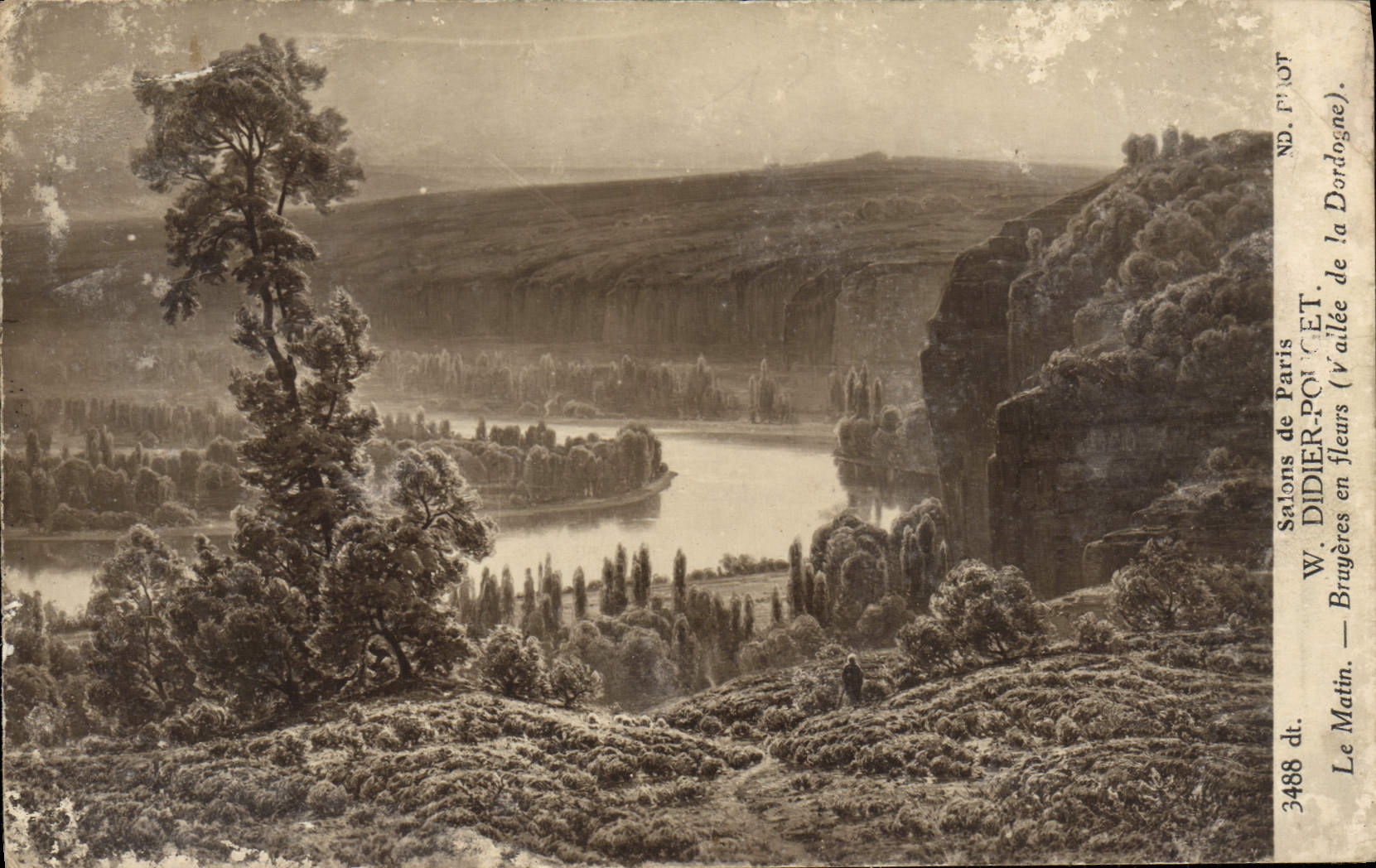 VINTAGE POSTCARD Living rooms of Paris W Didier Pouget the morning Heathers in flowers