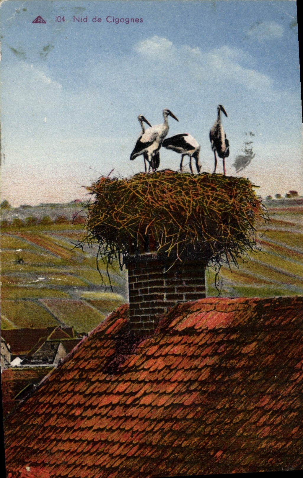 VINTAGE POSTCARD Nest Of Storks