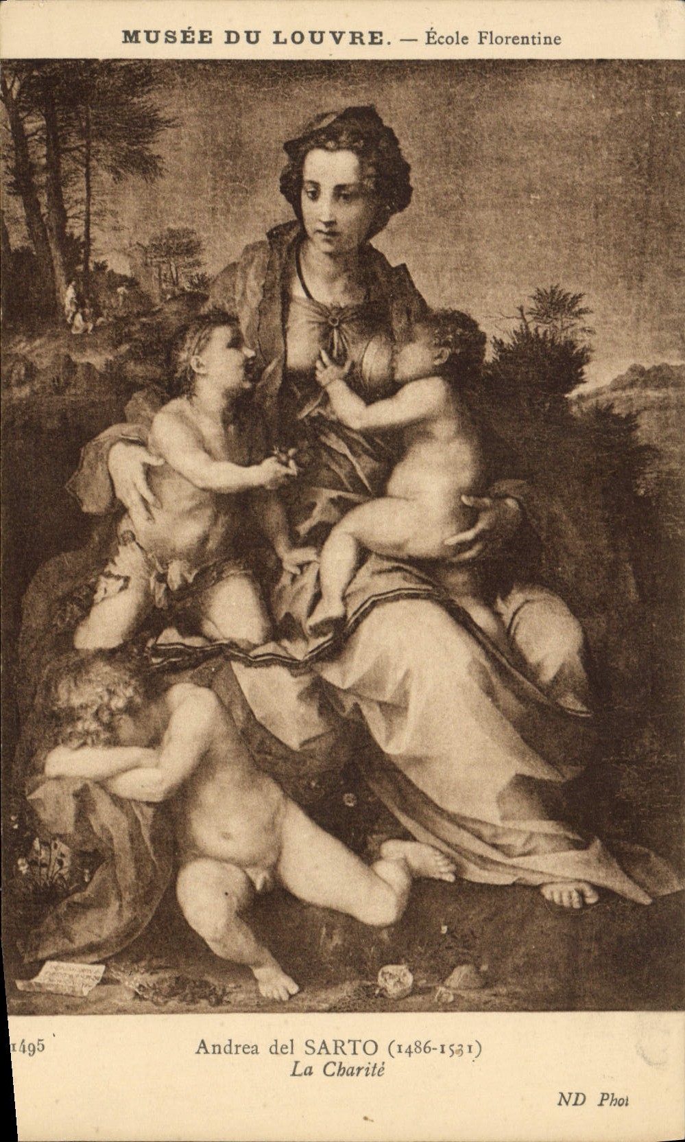 VINTAGE POSTCARD Museum Of Louvre School Florentine Andrea del Sarto charity