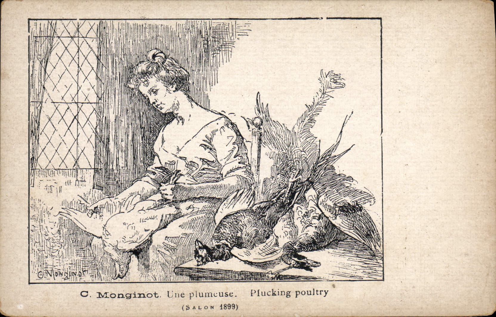 VINTAGE POSTCARD C Monginot Feathery