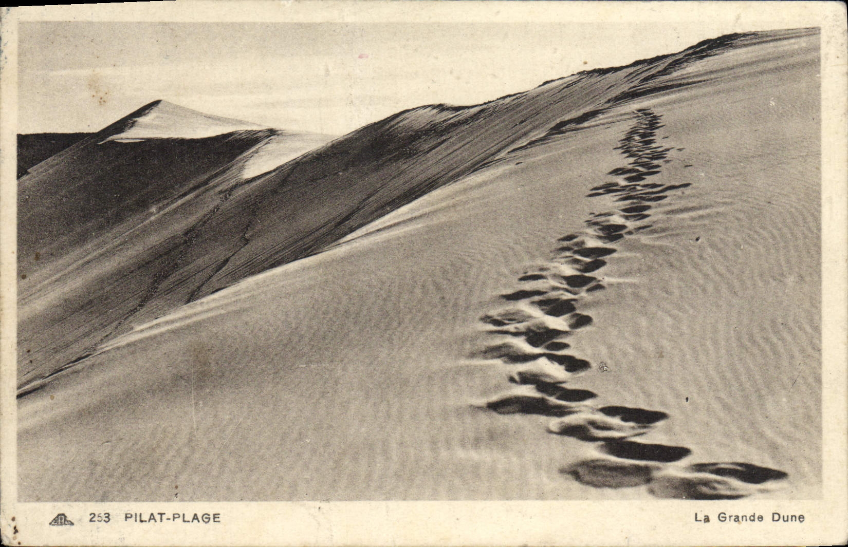 VINTAGE POSTCARD Pilat Beach the Large Dune