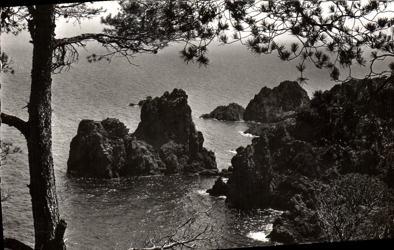 CPM La Cote d'Azur La Mediterranee et ses roches rouges 