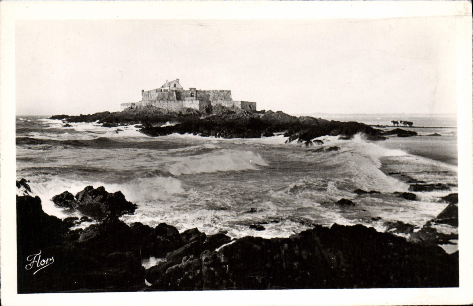 MODERN CARD Holy Malo rising Tide the Strong National