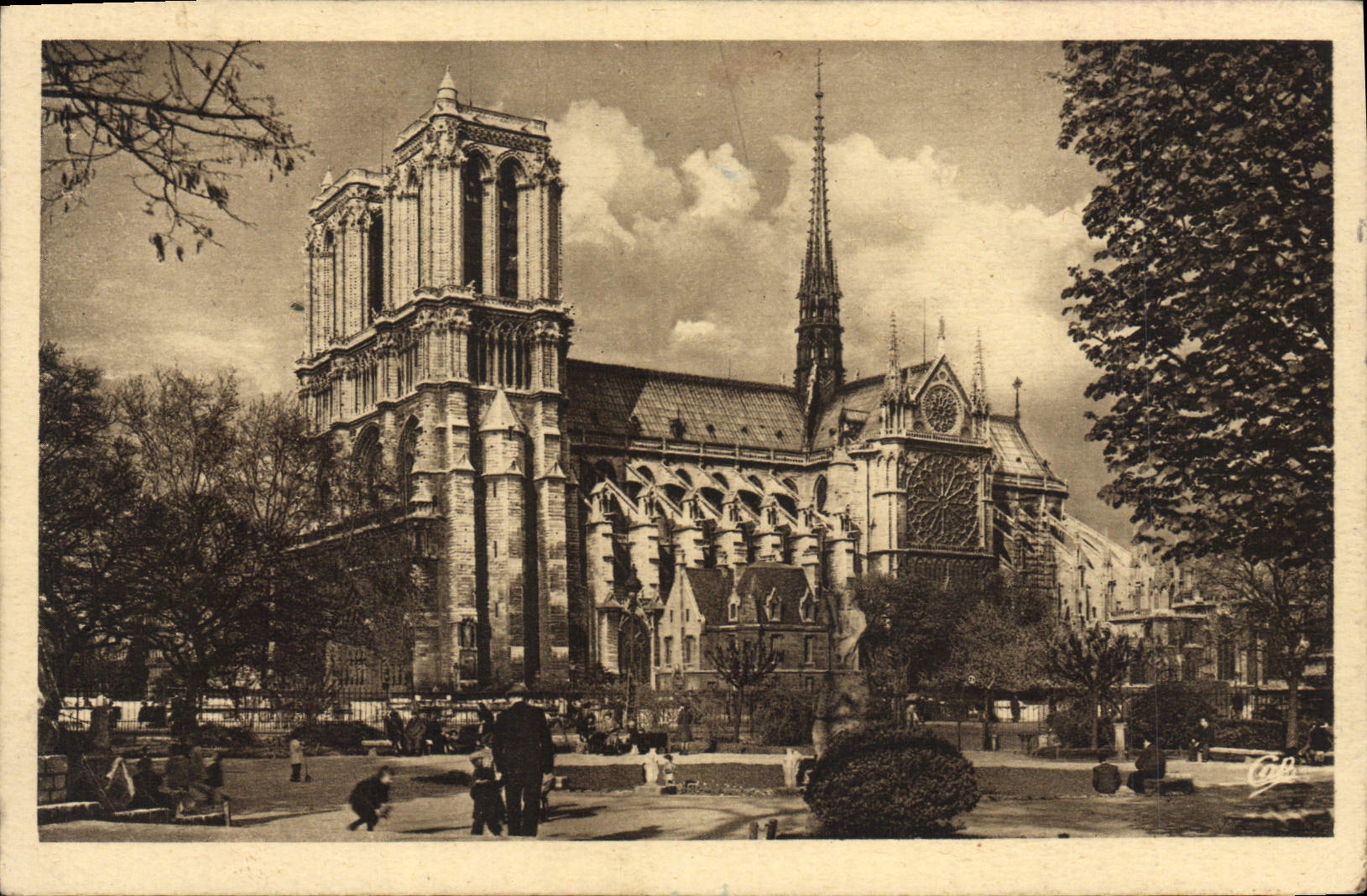 VINTAGE POSTCARD Paris Notre Dame Seen of the Viviani Public garden