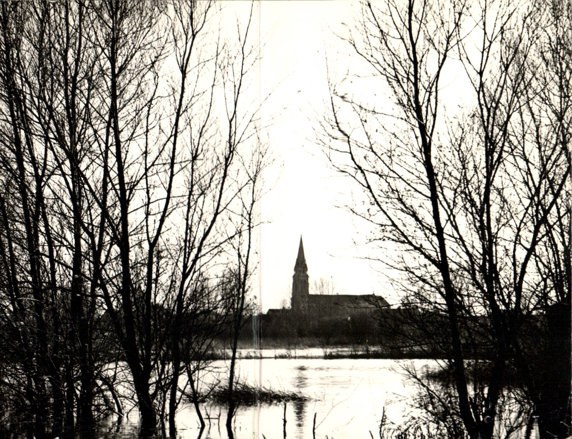 POSTAL MODERNA Besle