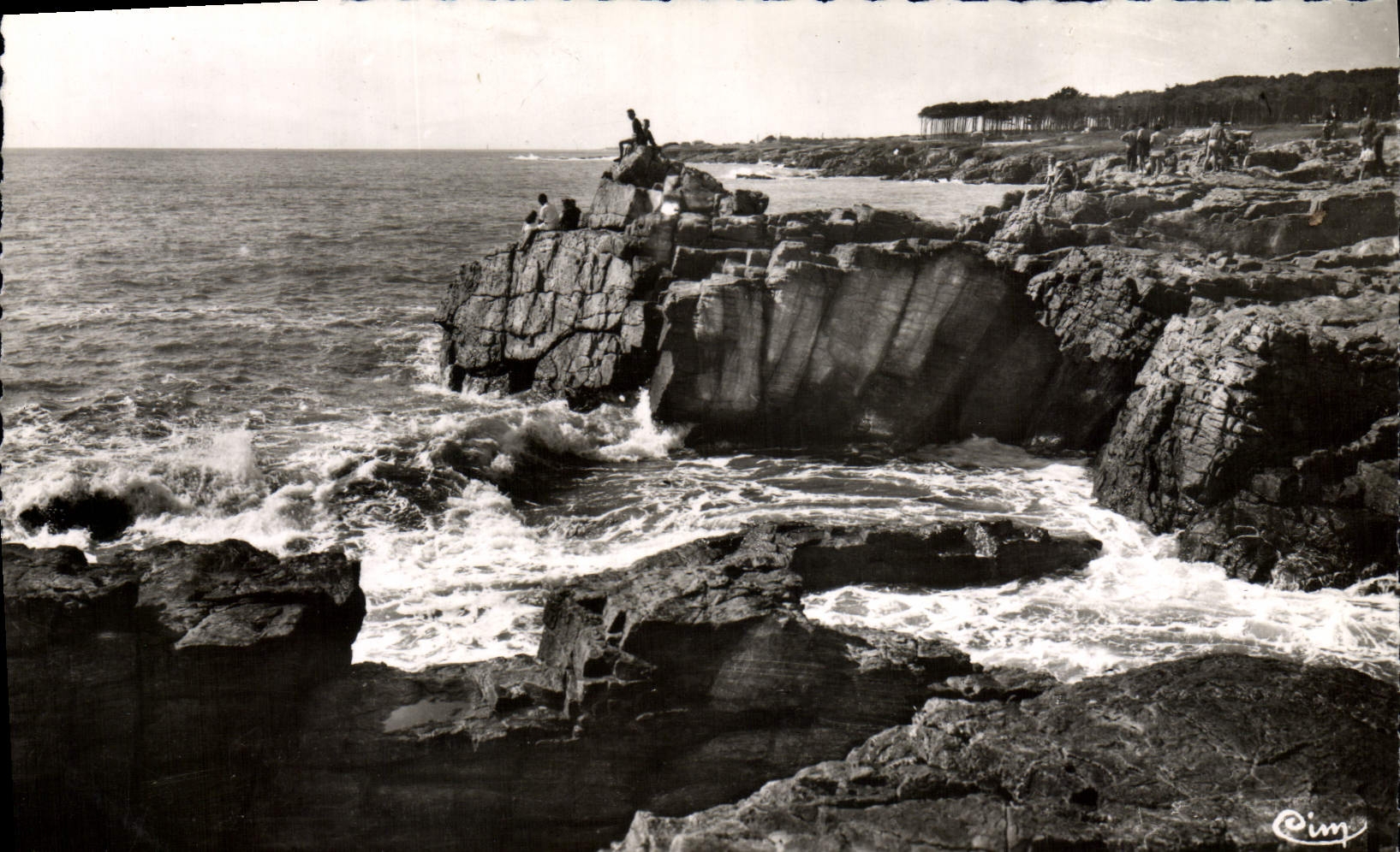 POSTAL MODERNA Sables d'Olonne la dimensión salvaje