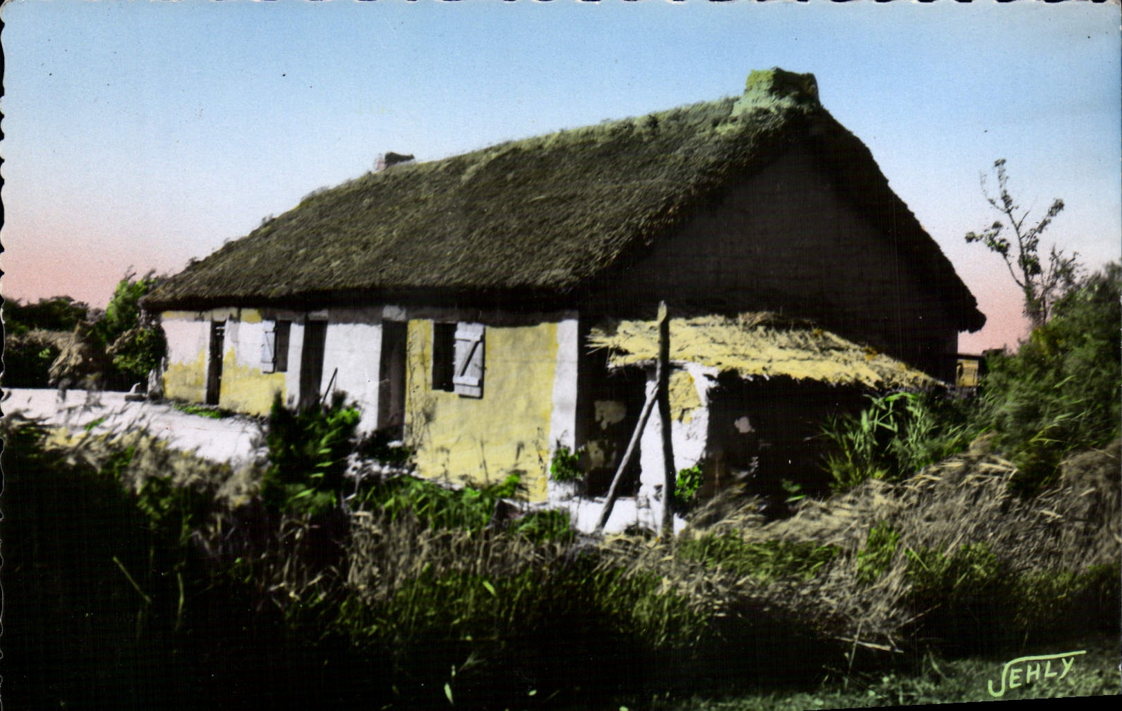 CPM Au Pays De Monts Vieille Bourine