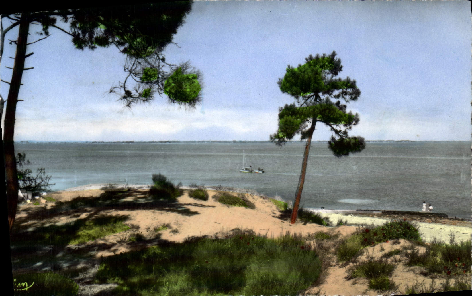 MODERN CARD St Trojan Les Bains Escaped on the ocean