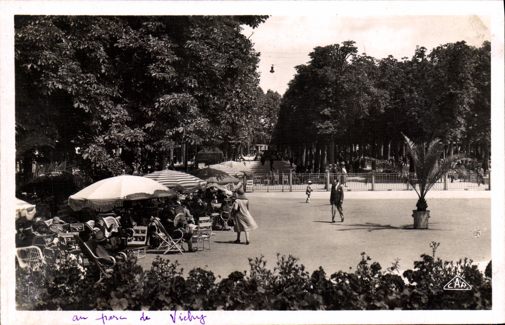 VINTAGE POSTCARD Vichy Park