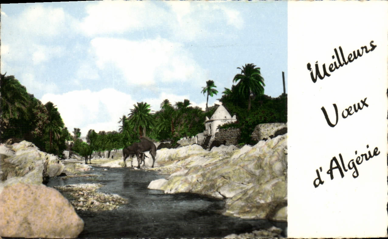 CPM Voeux D'Algerie