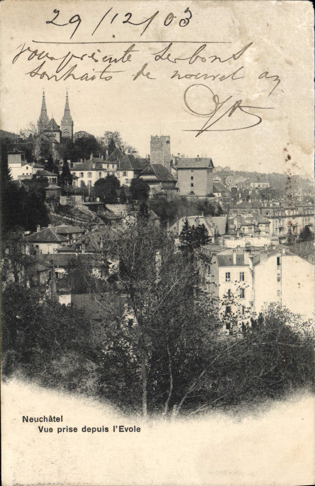 CPA Neuchatel Vue Prise Depuis L'Evole