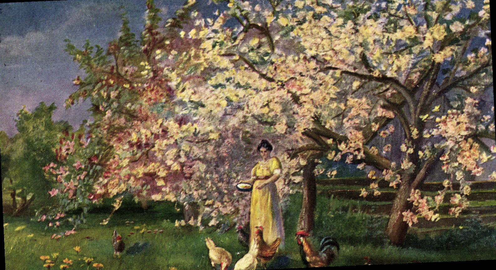 VINTAGE POSTCARD Woman Cock