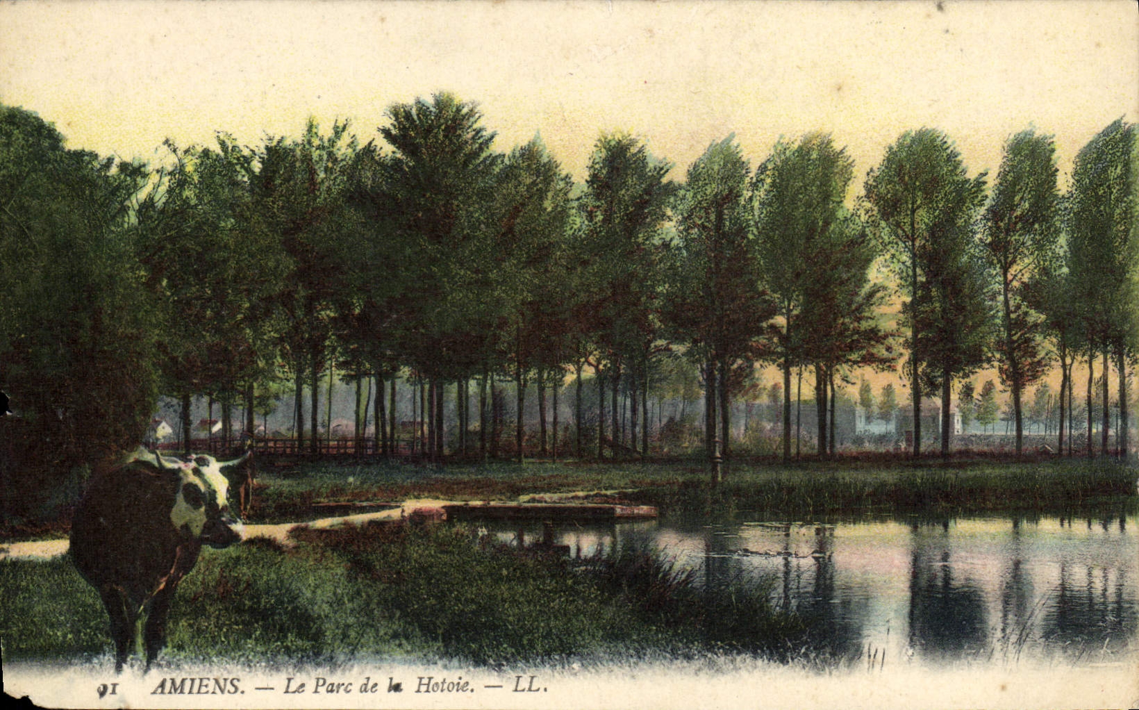 VINTAGE POSTCARD Amiens the Park of Hotoie Cow