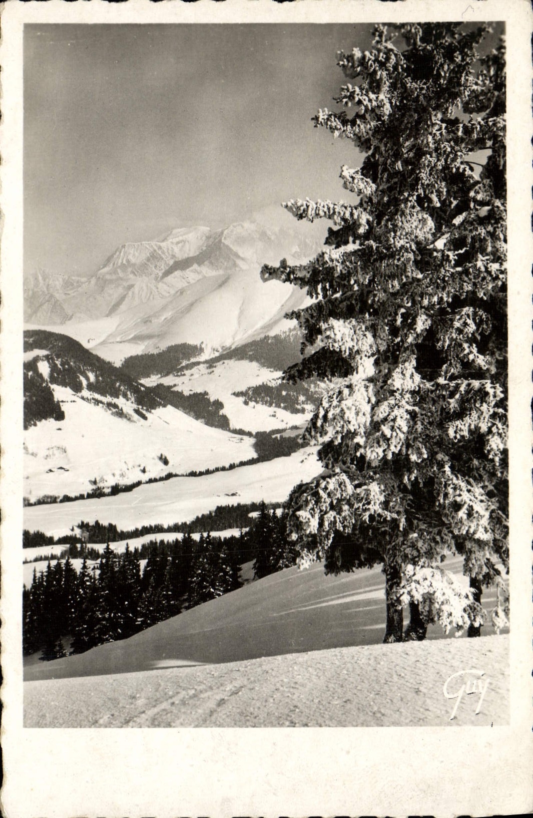 MODERN CARD Mountain pastures