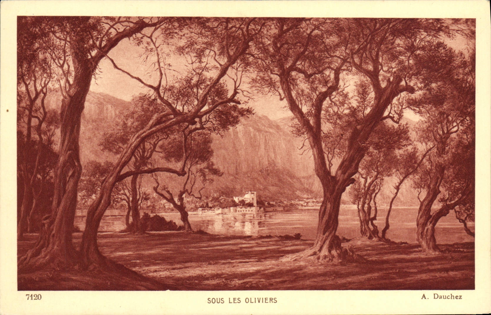 VINTAGE POSTCARD Under the Olive-trees