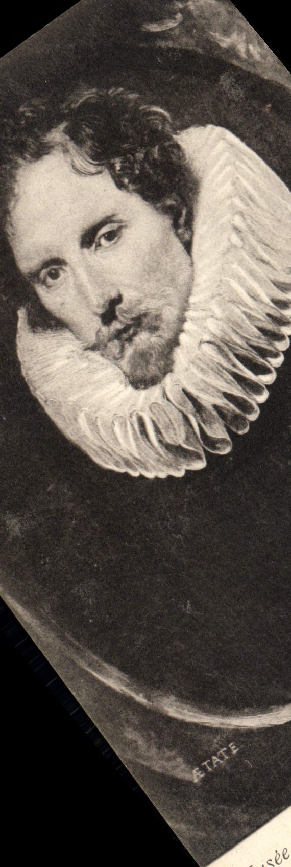 VINTAGE POSTCARD Museum of Brussels Portrait of Rubens man