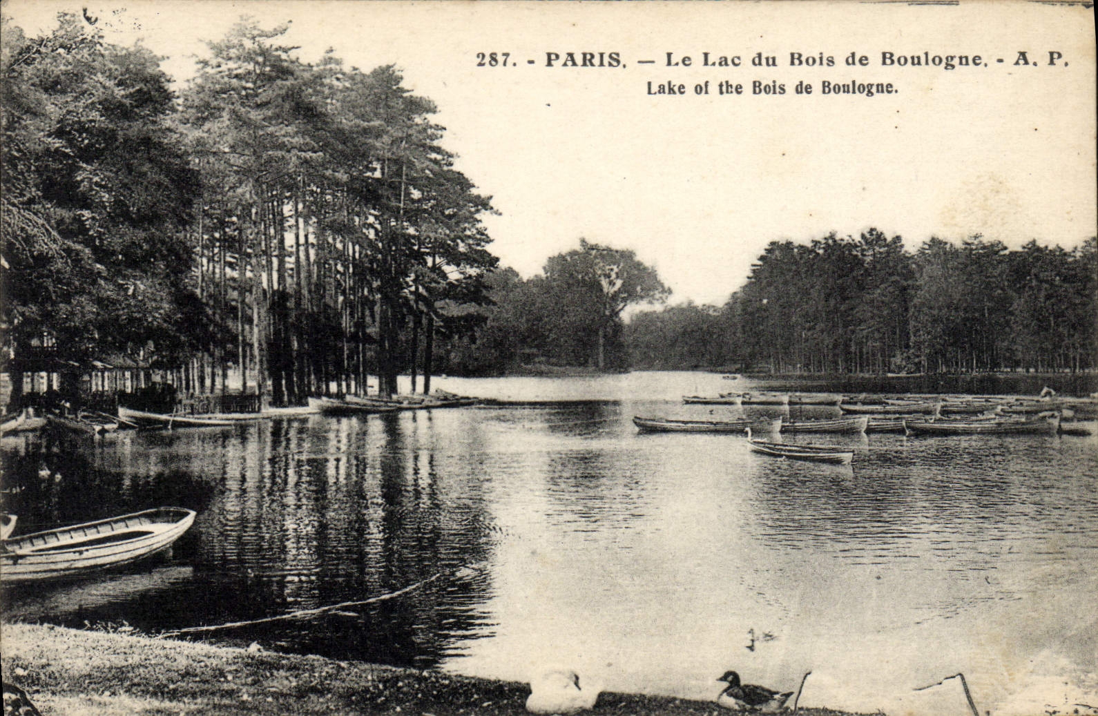 CPA Paris Le Lac du Bois de Boulogne 