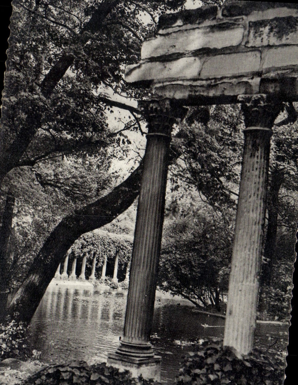 CPM Paris Parc Monceau