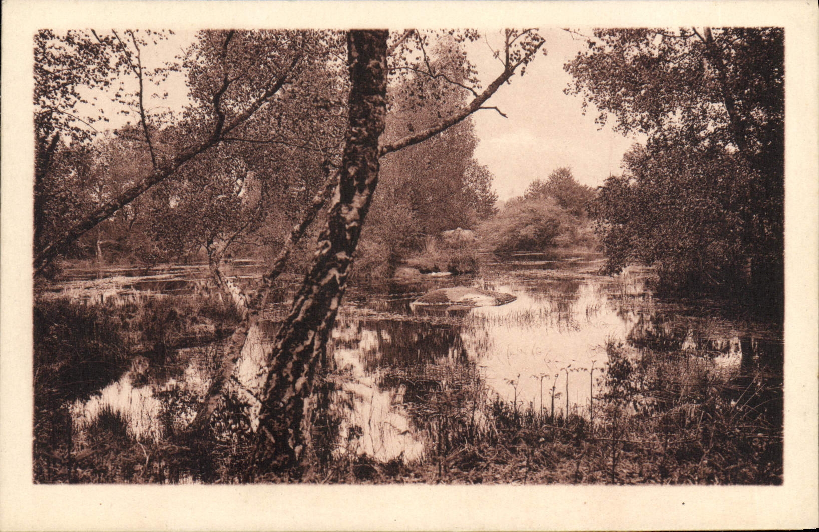 CPA Foret de Fontainebleau La mare de Franchard