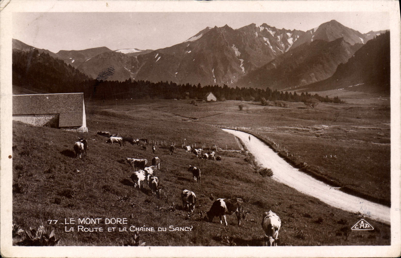 VINTAGE POSTCARD the Mount Gilds the Road And the Chain Of Sancy Vaches
