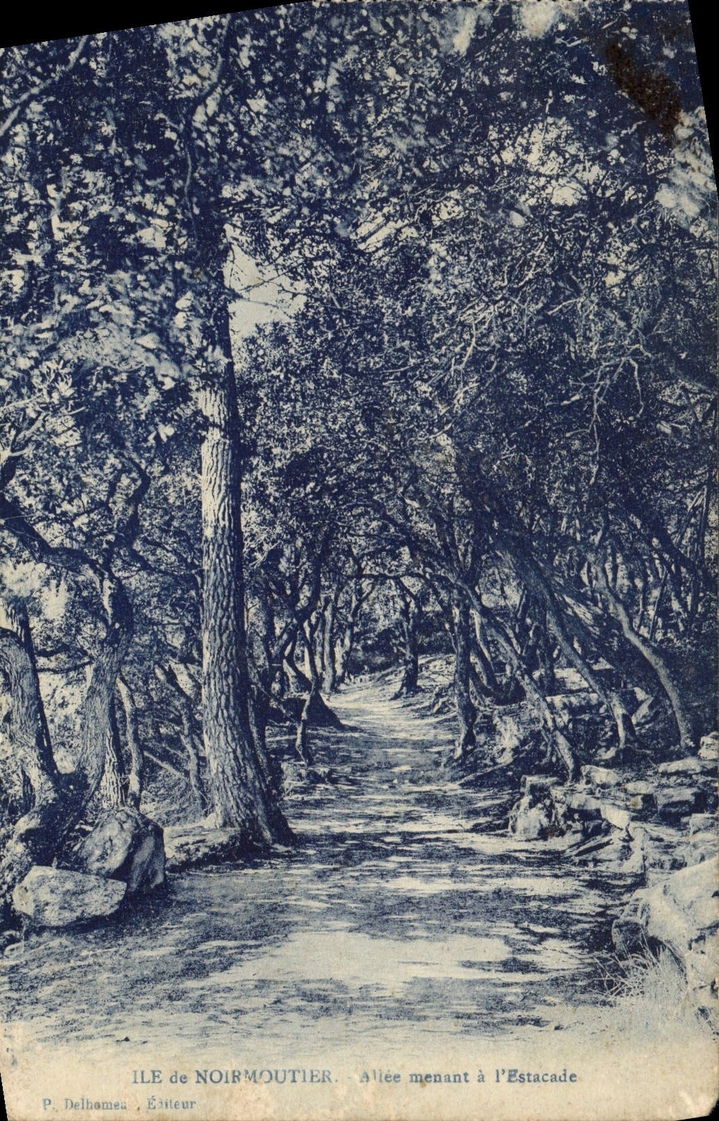 CPA Ile de Noirmoutier Allee menant a l'estacade