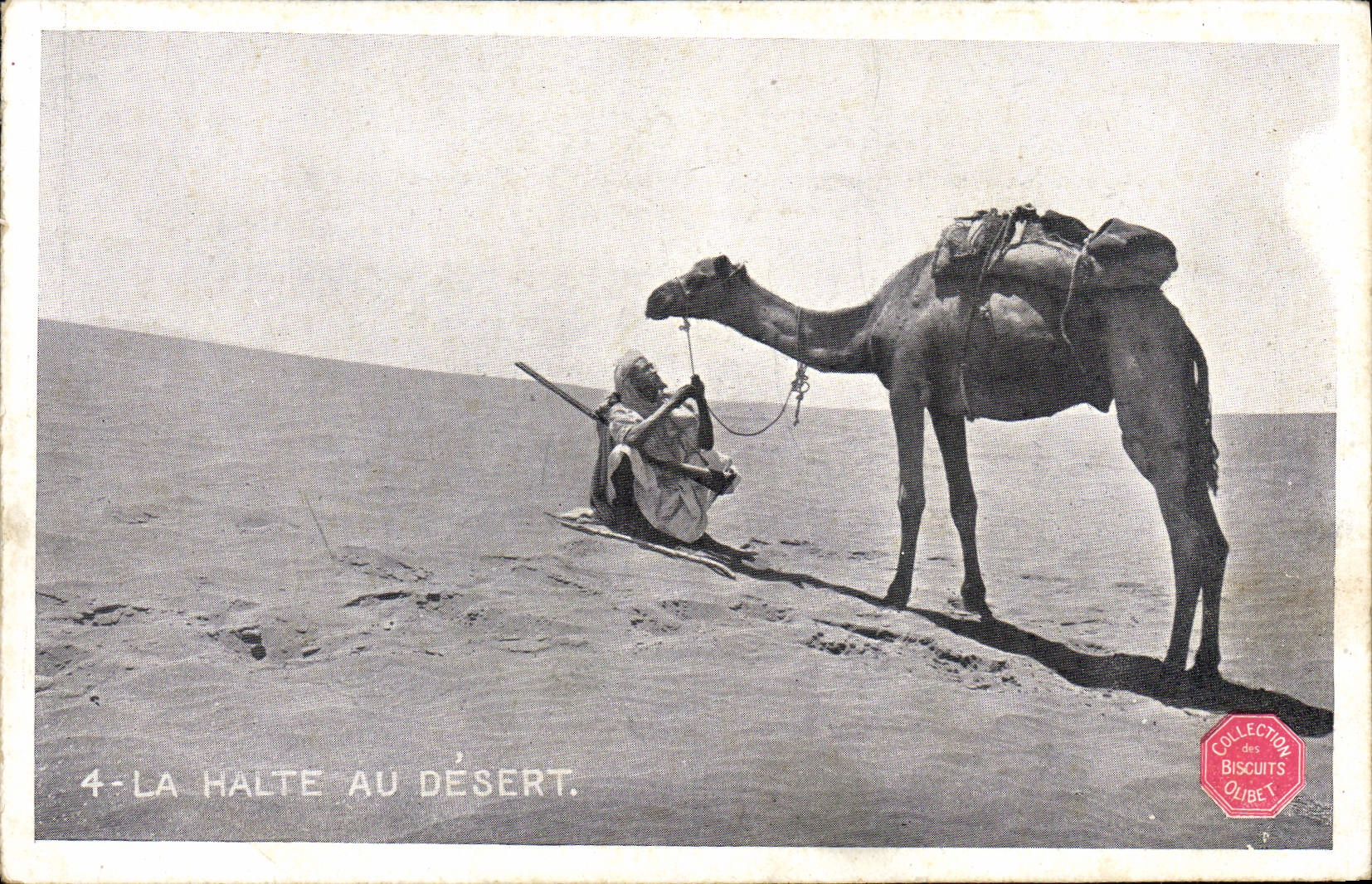 VINTAGE POSTCARD the Halt with Serves Camel