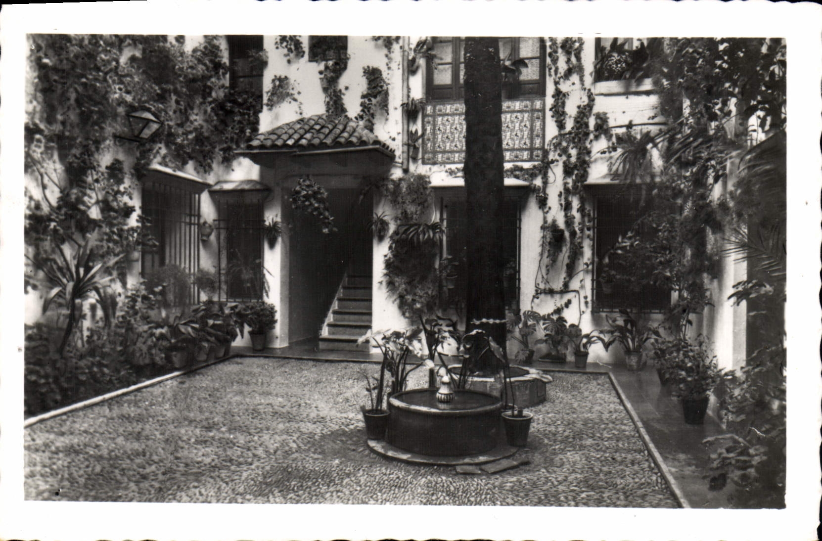 CPM Cordoba Patio Cordobes