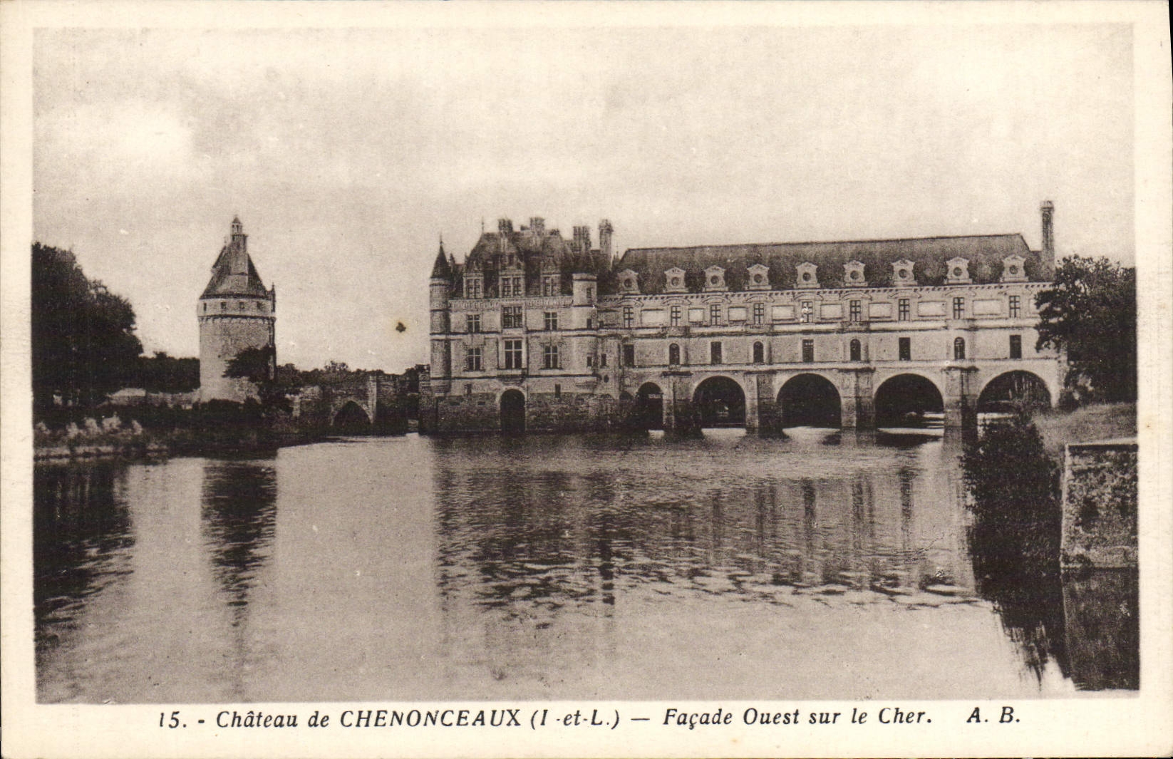 Ataque frontal de Castle De Chenonceaux Western de la POSTAL de la VENDIMIA en costoso