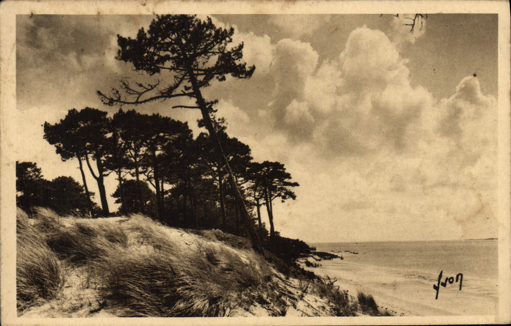 VINTAGE POSTCARD Moulleau Dunes Of Abatilles