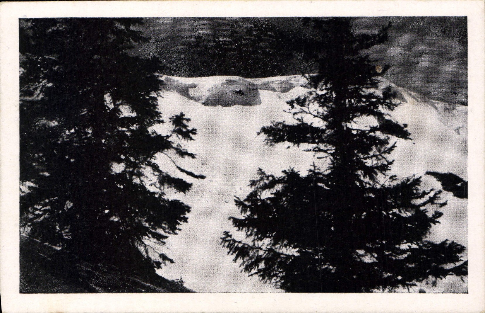 VINTAGE POSTCARD Schneewachte Bismarckturm