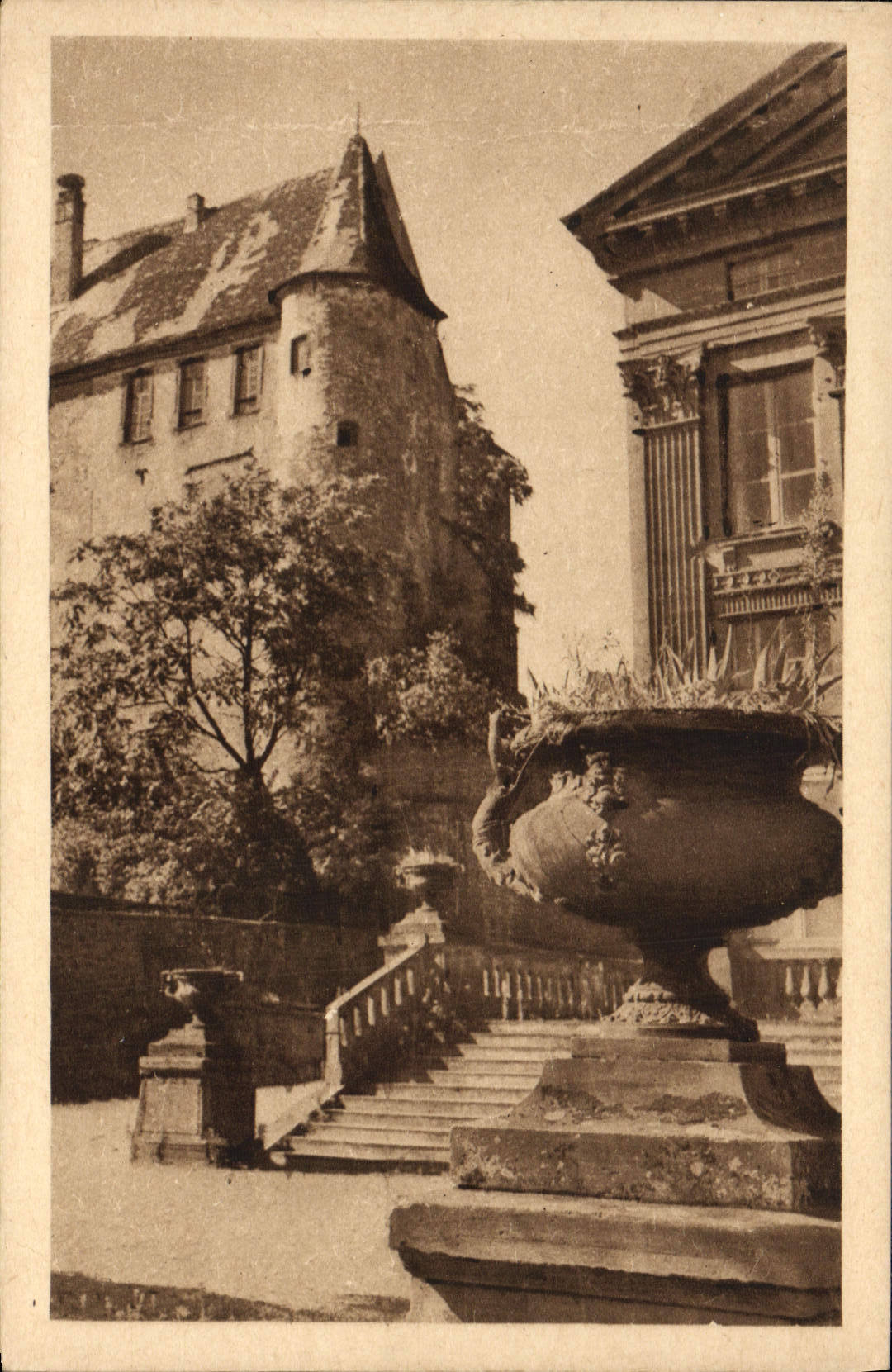 CPA Saverne La Ville Des Roses Chateau des Rohan avec musee